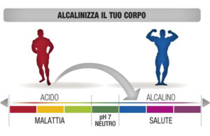 Scopri di più sull'articolo Equilibrio Acido-Basico