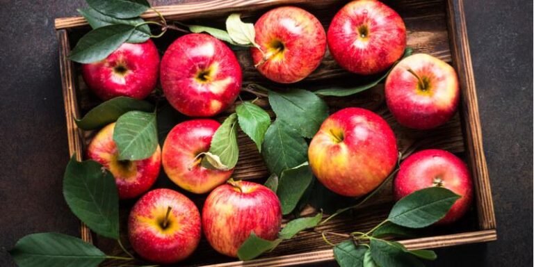Scopri di più sull'articolo Le mele alla base di una sana alimentazione per l’intestino