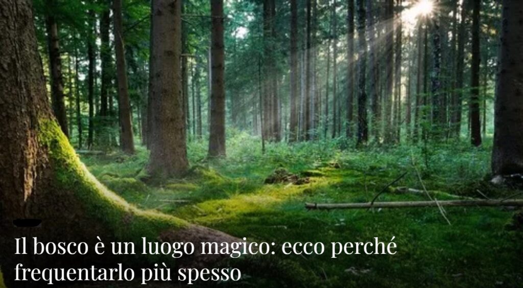 Le piante rispondono: intervista con Cleve Backster › ESTETA