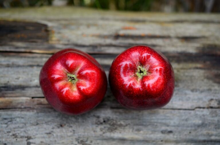 Scopri di più sull'articolo Ecco perchè una mela al giorno toglie il medico di torno