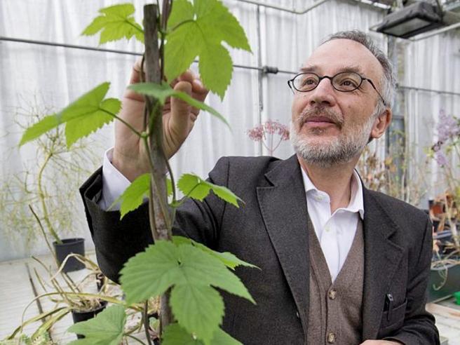 Scopri di più sull'articolo Stefano Mancuso e la vita segreta delle piante: «Per sopravvivere si spostano»